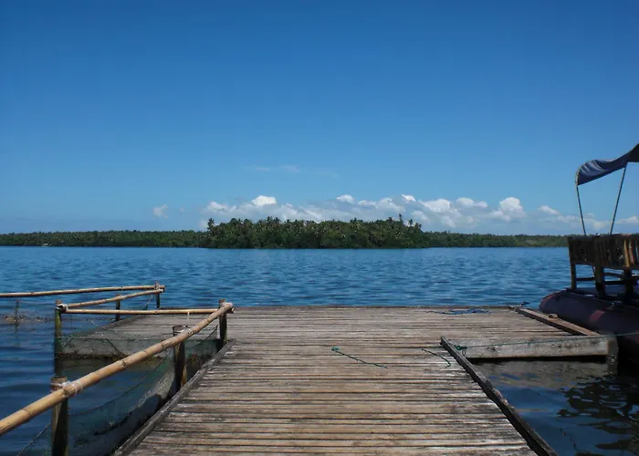 My Little Island